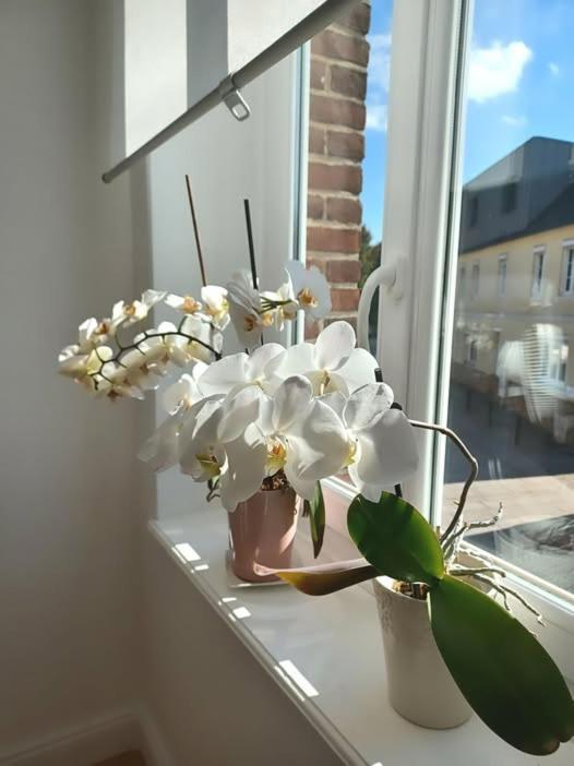 Lin Et L'Hote Preaux Eksteriør billede
